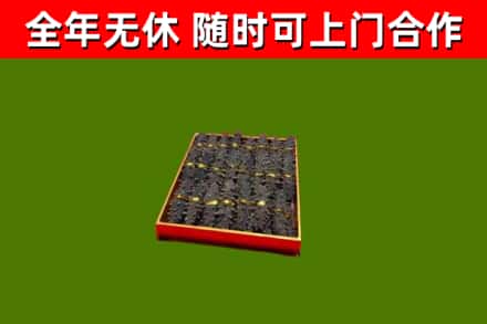 金东区回收海参
